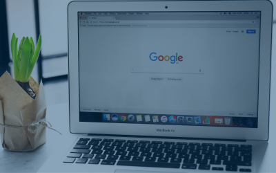 The Concentrated Equity Market Continues